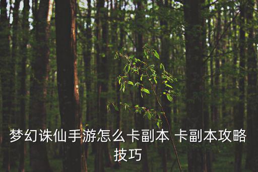 梦幻诛仙手游怎么卡副本 卡副本攻略技巧