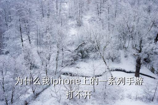 为什么我iphone上的一系列手游打不开