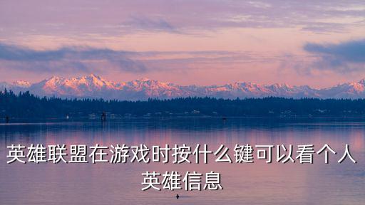 英雄联盟在游戏时按什么键可以看个人英雄信息