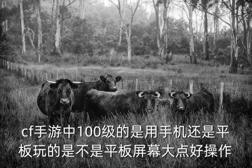 cf手游中100级的是用手机还是平板玩的是不是平板屏幕大点好操作