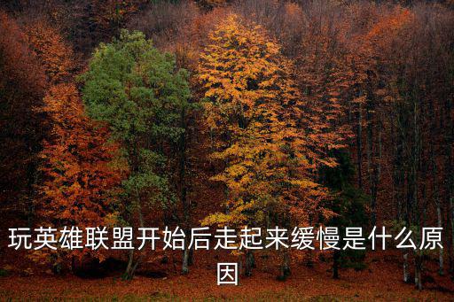 玩英雄联盟开始后走起来缓慢是什么原因