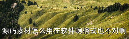 源码素材怎么用在软件啊格式也不对啊
