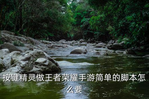 王者荣耀手游脚本怎么写，王中王辅助怎么写脚本