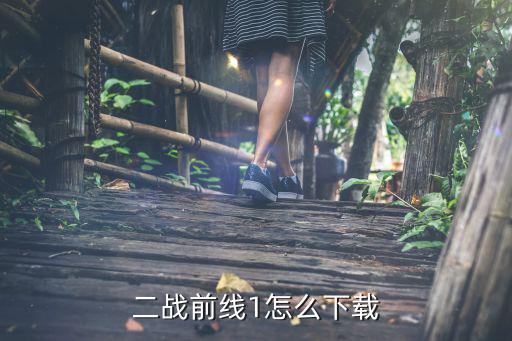 二战前线1怎么下载