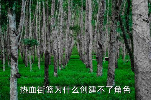 热血街篮为什么创建不了角色