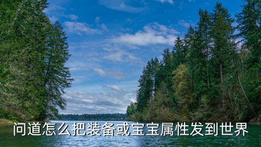 问道怎么把装备或宝宝属性发到世界