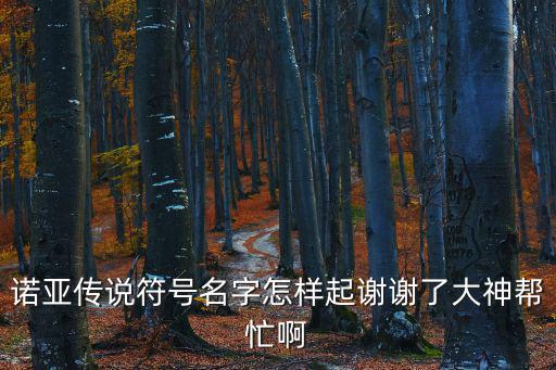 诺亚传说符号名字怎样起谢谢了大神帮忙啊