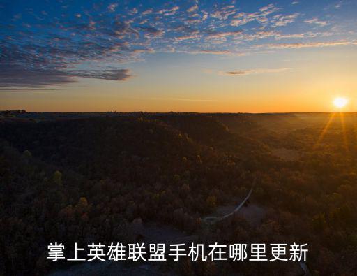 掌上英雄联盟手机在哪里更新