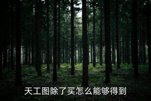 天工图除了买怎么能够得到
