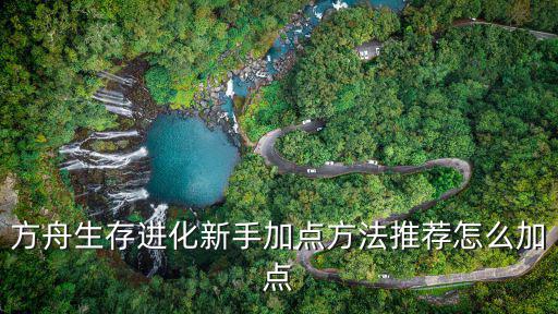 方舟生存进化新手加点方法推荐怎么加点