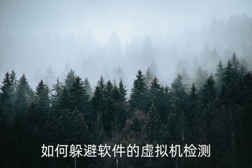 手游虚拟机怎么防止网游检测，求一在虚拟机内开游戏不被检测到的方法