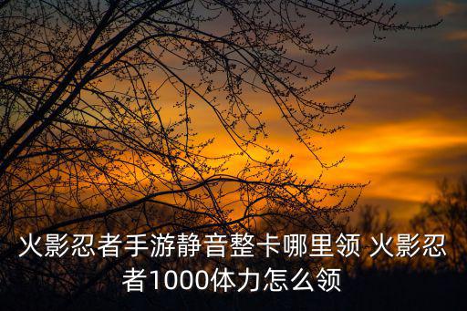 火影忍者手游静音整卡哪里领 火影忍者1000体力怎么领