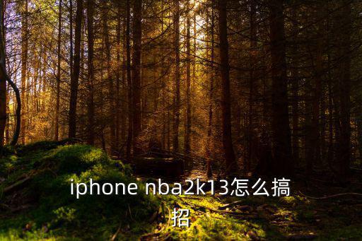 iphone nba2k13怎么搞招