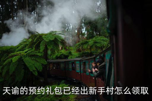 天谕的预约礼包已经出新手村怎么领取