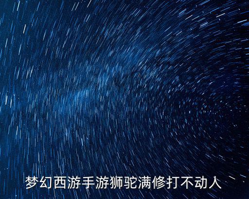 梦幻西游手游狮驼满修打不动人