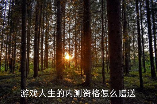 英雄联盟手游怎么赠送内测资格，游戏人生的内测资格怎么赠送