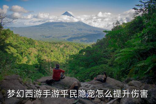 梦幻手游宝宝攻击不高怎么办，梦幻怎么提高宝宝伤害