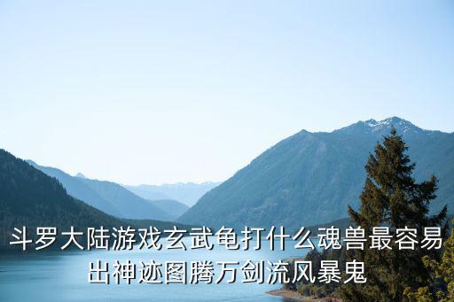 斗罗大陆游戏玄武龟打什么魂兽最容易出神迹图腾万剑流风暴鬼