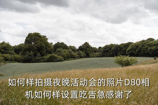 如何样拍摄夜晚活动会的照片D80相机如何样设置吃告急感谢了