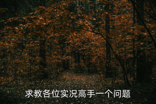 求教各位实况高手一个问题