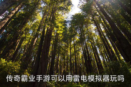 传奇霸业手游可以用雷电模拟器玩吗