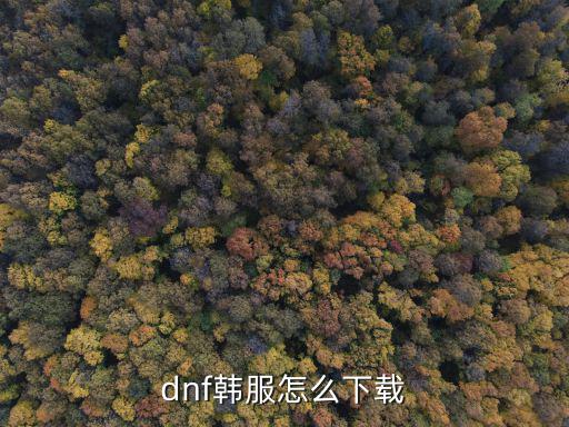 dnf手游韩服怎么安装，韩服DNF怎么安装