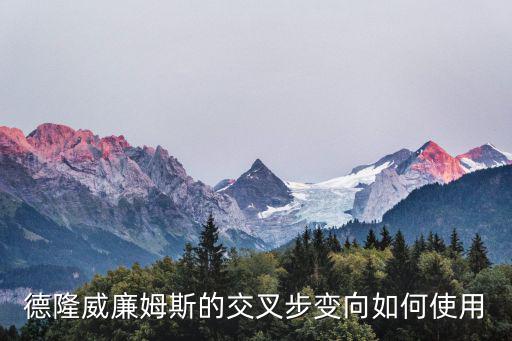 2k20手游德隆怎么玩，高分求德隆的后撤步佯装停球变向过人步骤解析