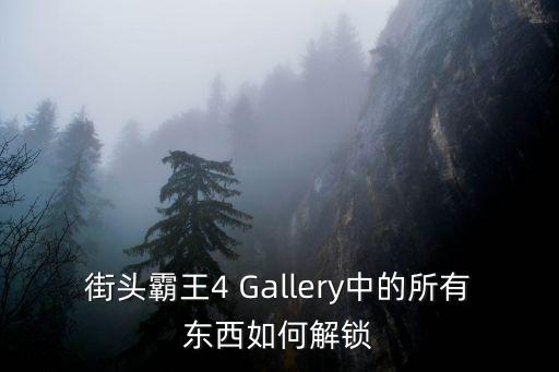 街头霸王手游怎么获得物品，街头霸王4 Gallery中的所有东西如何解锁