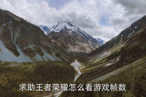 求助王者荣耀怎么看游戏帧数