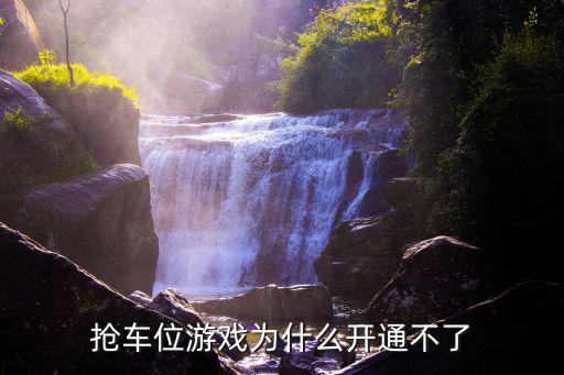 抢车位游戏为什么开通不了