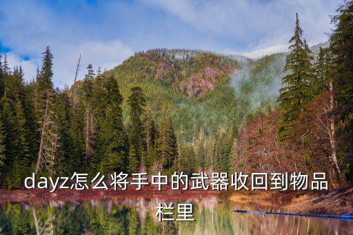 dayz怎么将手中的武器收回到物品栏里