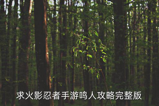 求火影忍者手游鸣人攻略完整版