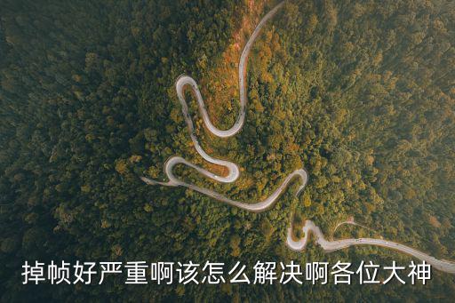 掉帧好严重啊该怎么解决啊各位大神