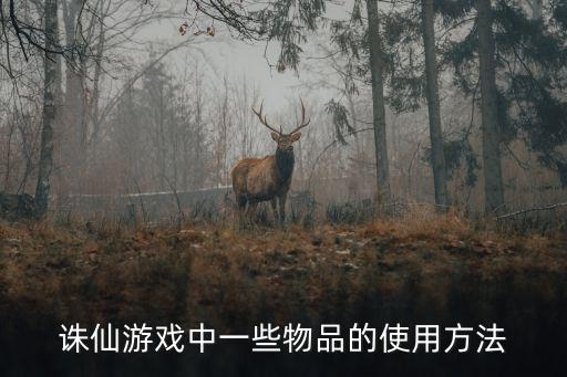 诛仙游戏中一些物品的使用方法