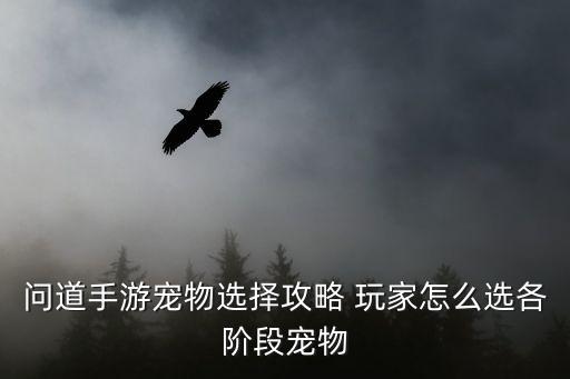 问道手游兽王和兽灵怎么选，问道手游宠物该如何选择