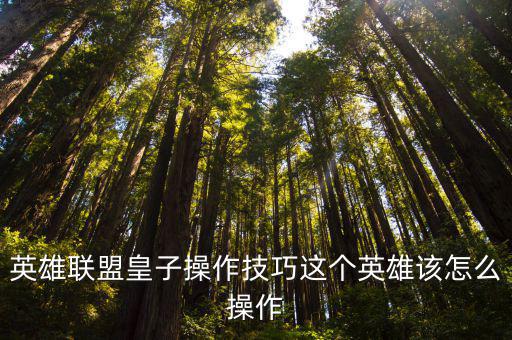 英雄联盟皇子操作技巧这个英雄该怎么操作
