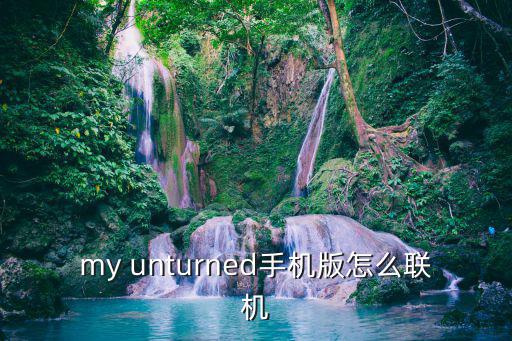 my unturned手机版怎么联机