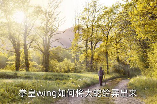 拳皇wing如何将大蛇给弄出来