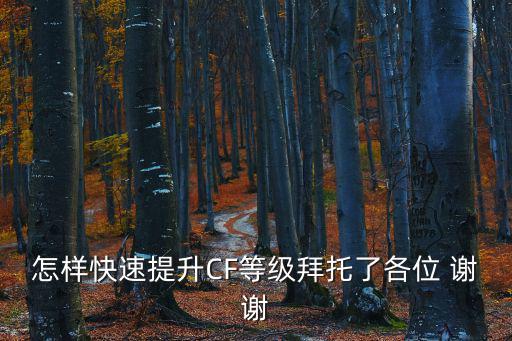 怎样快速提升CF等级拜托了各位 谢谢
