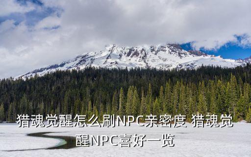 猎魂觉醒怎么刷NPC亲密度 猎魂觉醒NPC喜好一览