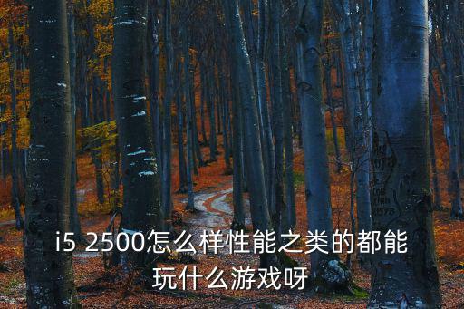 i5 2500怎么样性能之类的都能玩什么游戏呀