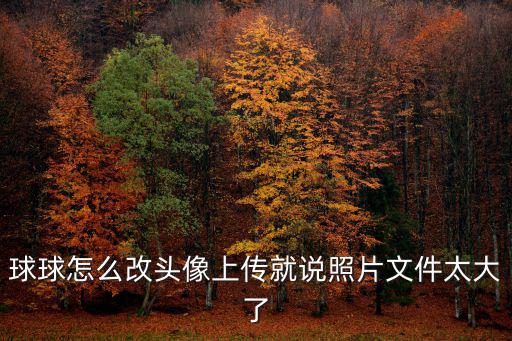 球球怎么改头像上传就说照片文件太大了
