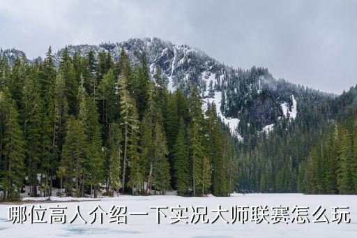 哪位高人介绍一下实况大师联赛怎么玩