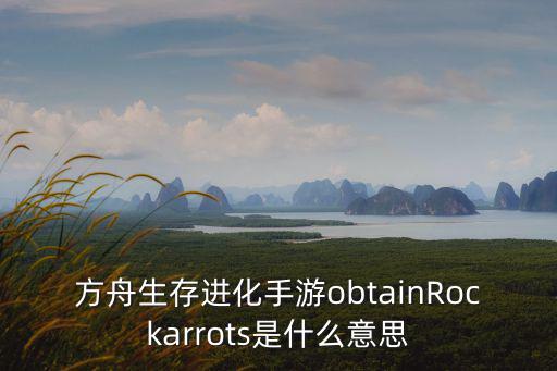 方舟生存进化手游obtainRockarrots是什么意思