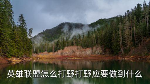 英雄联盟怎么打野打野应要做到什么