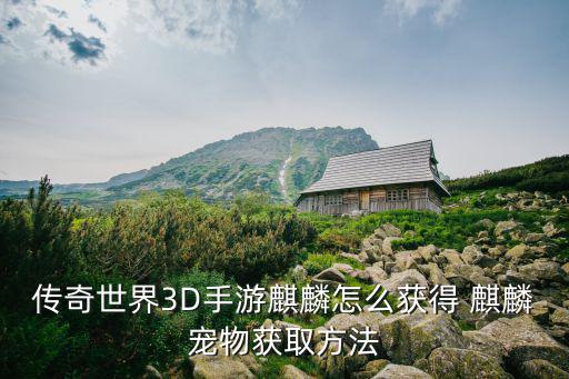 传奇世界3D手游麒麟怎么获得 麒麟宠物获取方法
