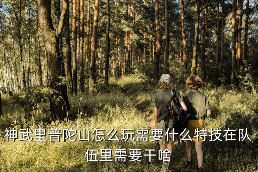 神武里普陀山怎么玩需要什么特技在队伍里需要干啥