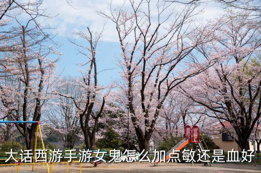 大话西游手游女鬼怎么加点敏还是血好