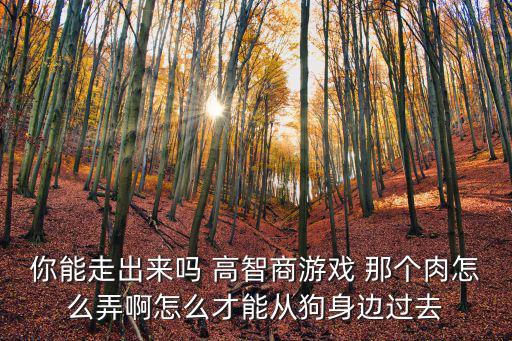 你能走出来吗 高智商游戏 那个肉怎么弄啊怎么才能从狗身边过去