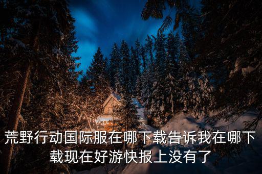 荒野行动国际服在哪下载告诉我在哪下载现在好游快报上没有了